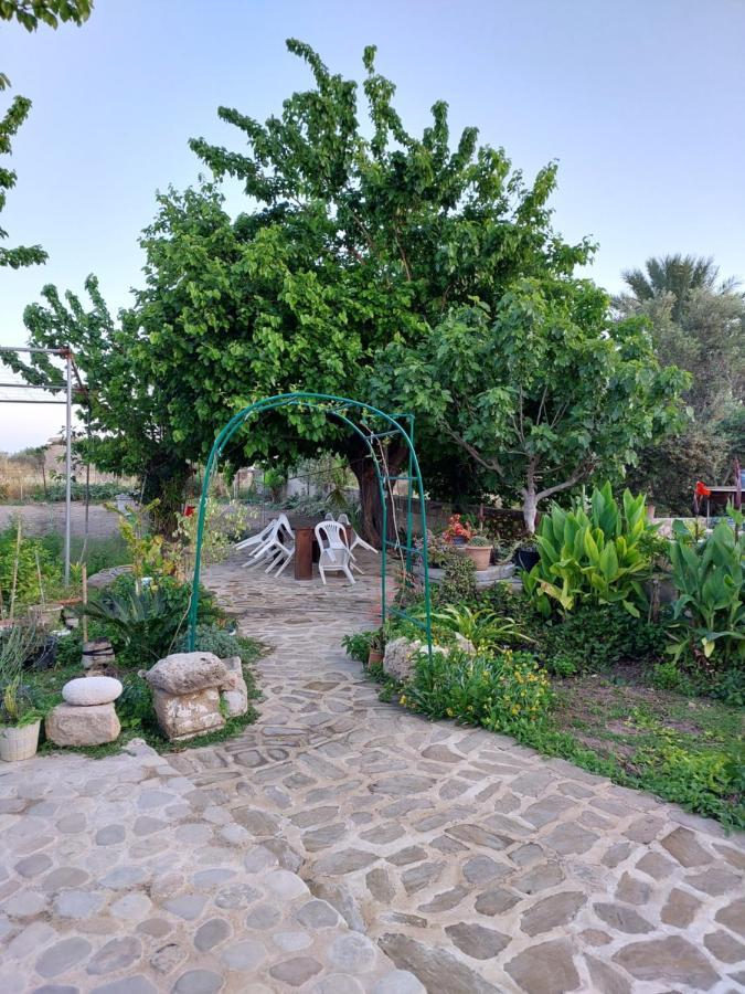 La Medusa Gardens Iskele District  Exteriör bild